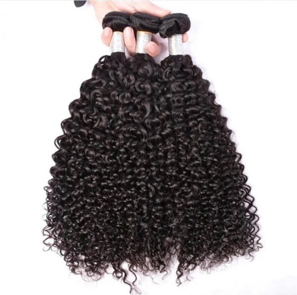 Kinky Curly Bundles